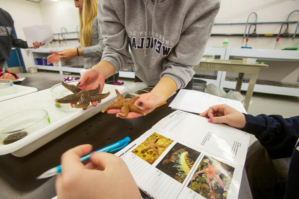 Marine Science student holding a starfish